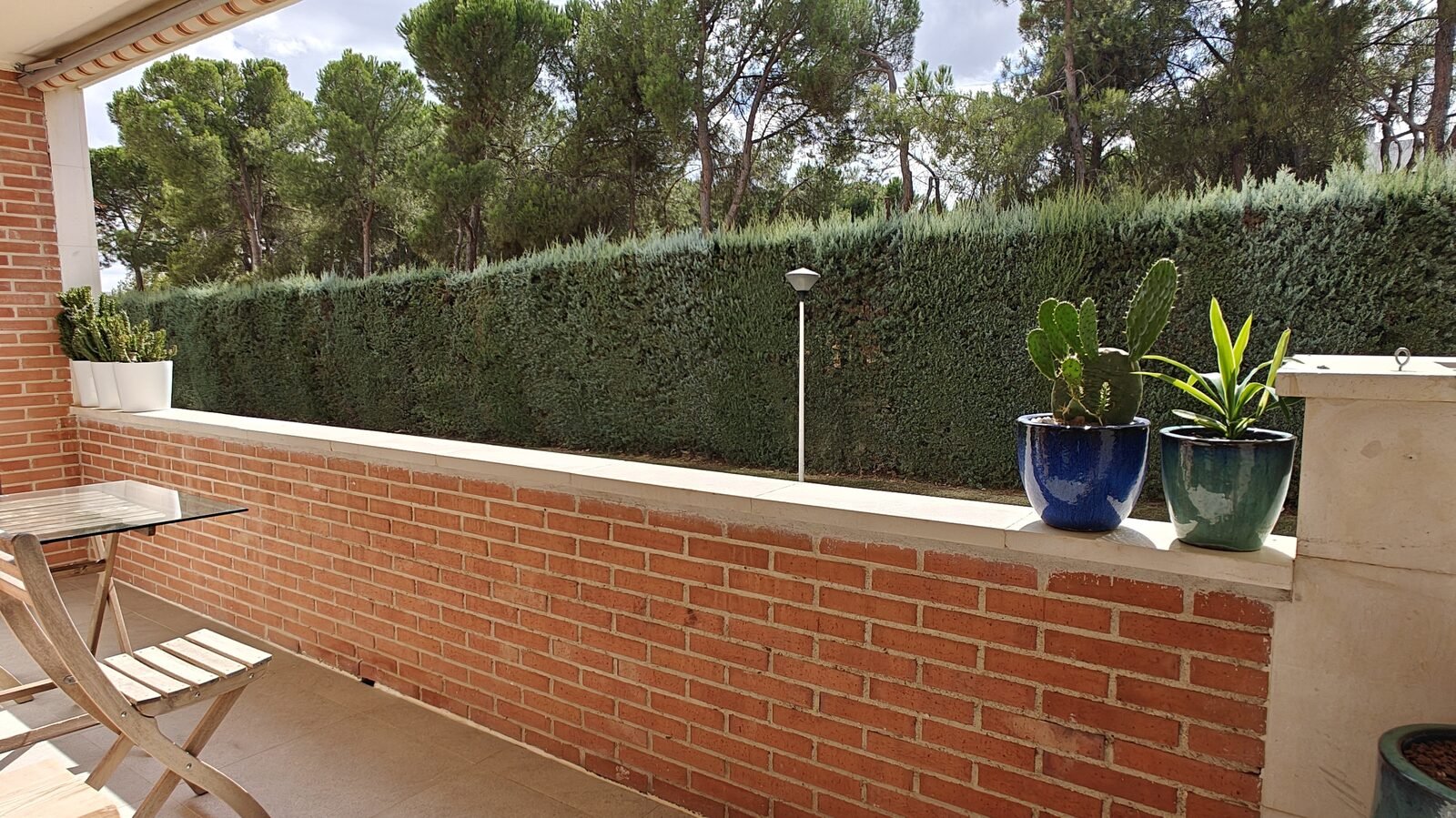 Terraza sur con pinar
